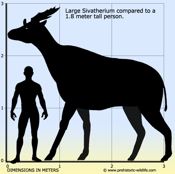 Вимерлий світ | Sivatherium