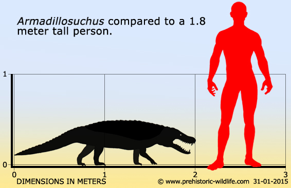 Вимерлий світ | Armadillosuchus