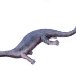 Askeptosaurus