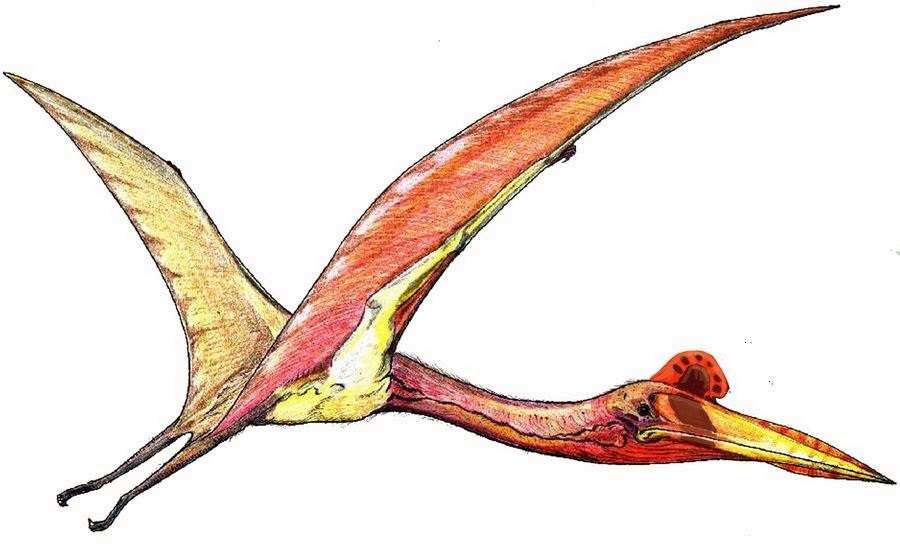 Вимерлий світ | Quetzalcoatlus