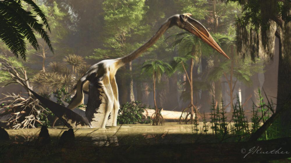 Вимерлий світ | Quetzalcoatlus