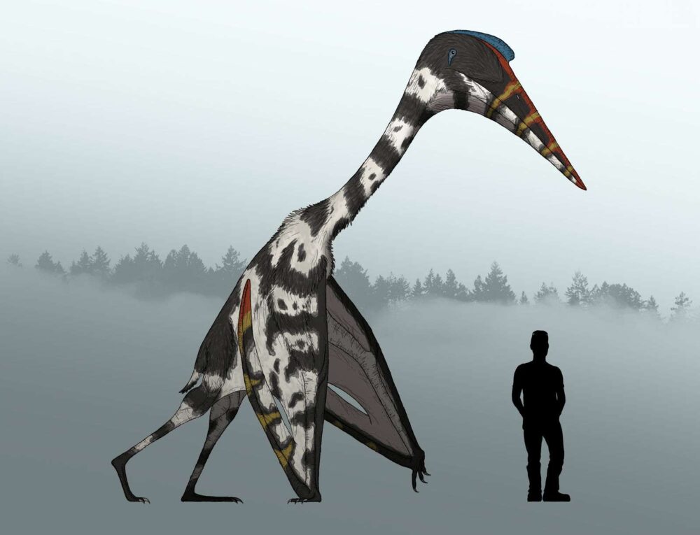 Вимерлий світ | Quetzalcoatlus