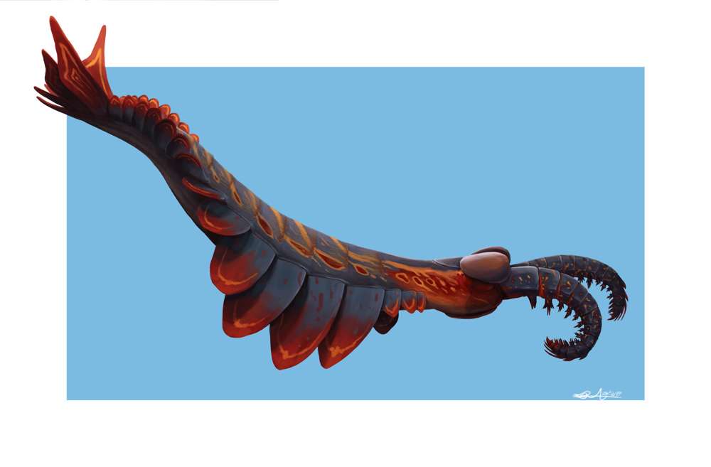 Вимерлий світ | Anomalocaris