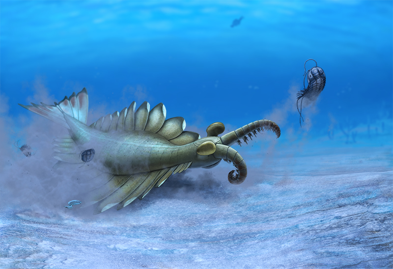 Вимерлий світ | Anomalocaris