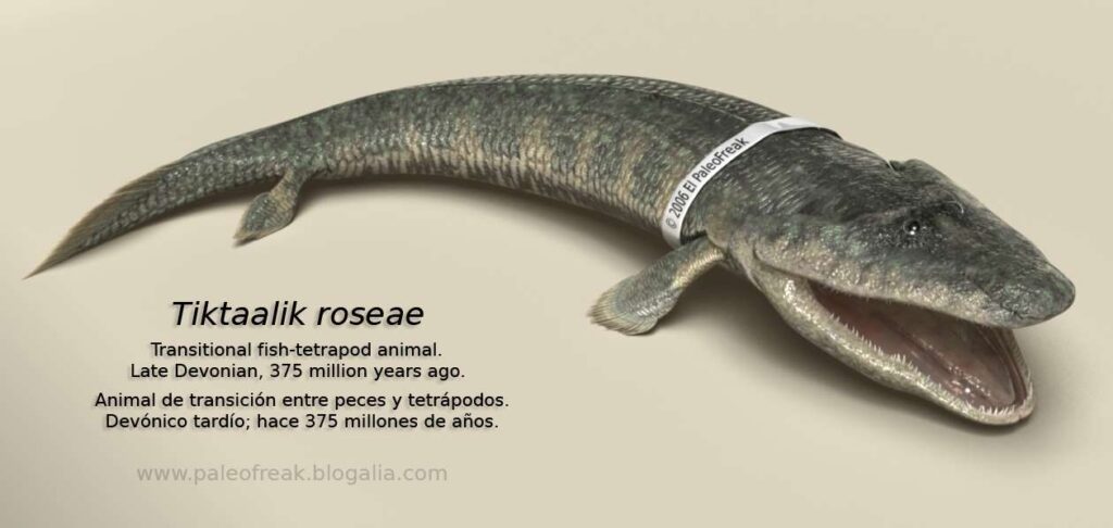 Вимерлий світ | Tiktaalik