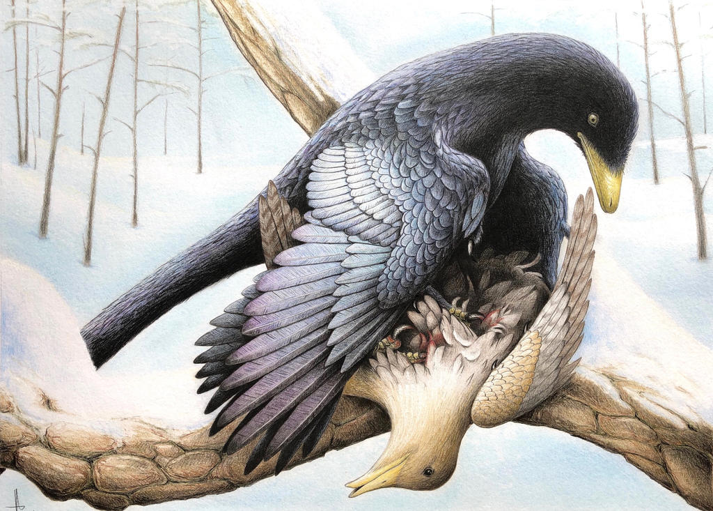 Вимерлий світ | Microraptor