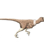 Pyroraptor