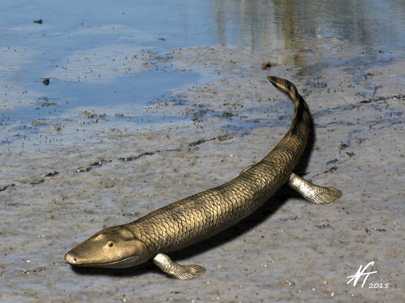 Вимерлий світ | Tiktaalik