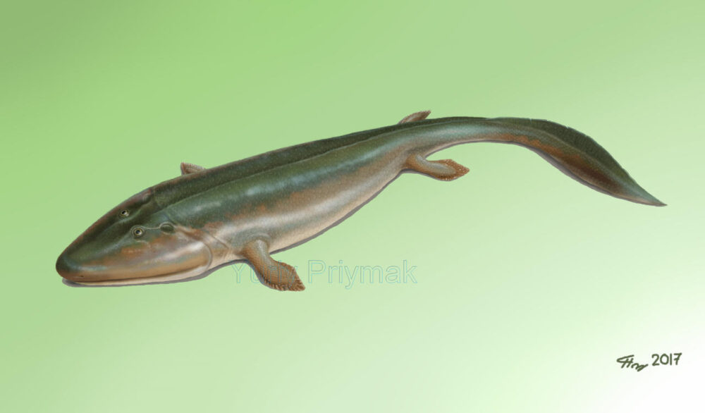 Вимерлий світ | Tiktaalik