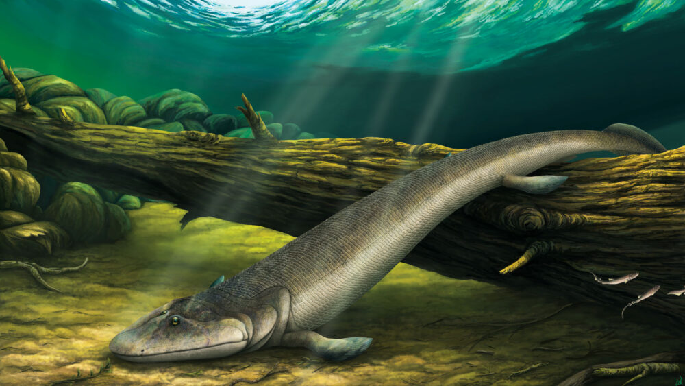 Вимерлий світ | Tiktaalik