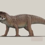 Heptasuchus