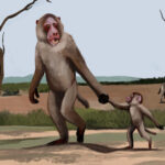 Paradolichopithecus