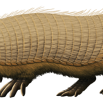 Peltephilus
