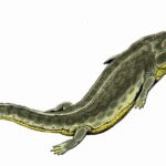 Benthosuchus