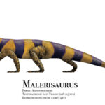 Malerisaurus