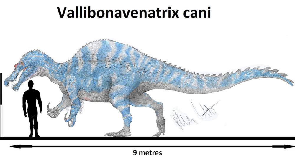 Вимерлий світ | Vallibonavenatrix