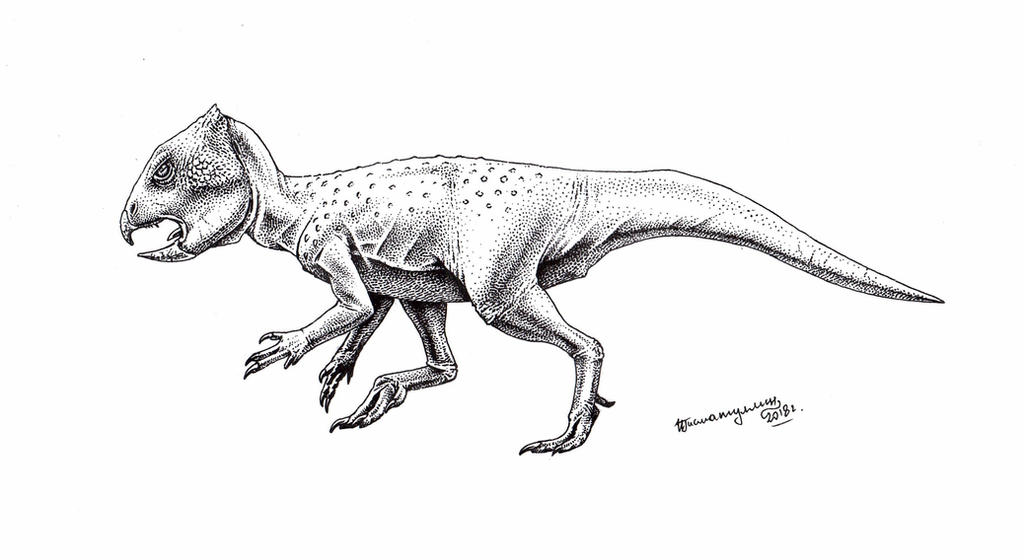 Archaeoceratops oshimai