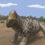 Criocephalosaurus
