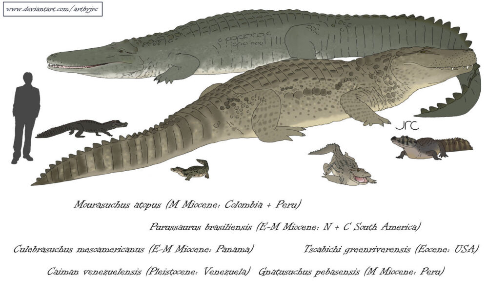 Вимерлий світ | Gnatusuchus