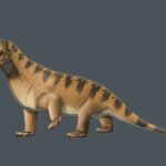 Kranosaura
