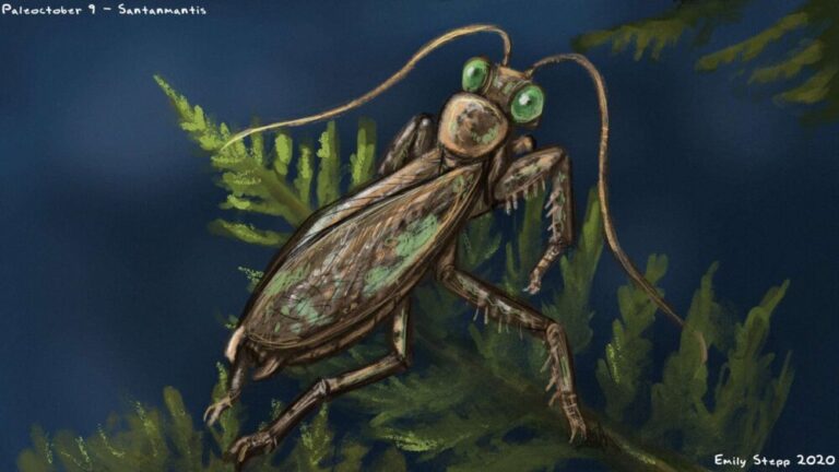 Santanmantis 🦤 Вимерлий світ