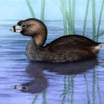 ddyzkls-4bff6c04-5105-403b-89bc-31ab8890fd70