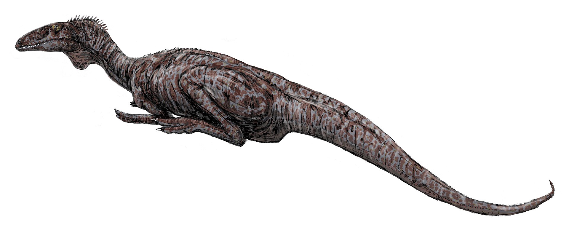 Zupaysaurus