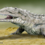 smilosuchus_by_ntamura_d1kmlun-fullview