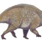 crittendenceratops_shaded