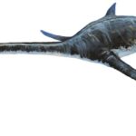 Eromangasaurus
