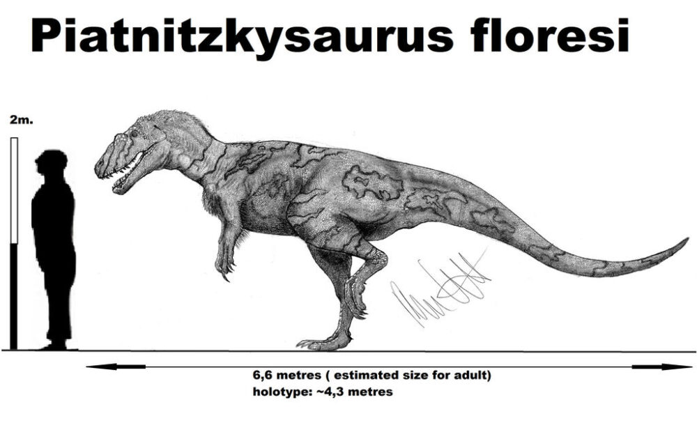 Вимерлий світ | Piatnitzkysaurus