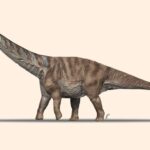 Abditosaurus