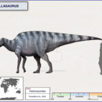 Huallasaurus