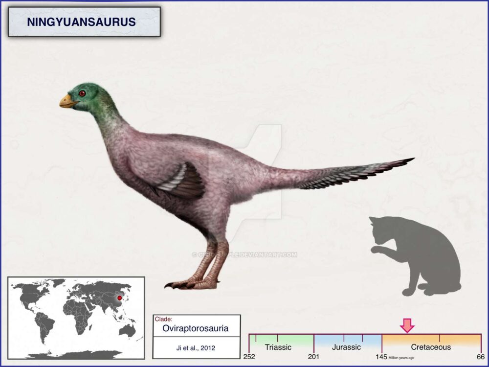 Вимерлий світ | Ningyuansaurus