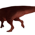 Arstanosaurus