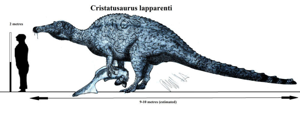 Вимерлий світ | Cristatusaurus