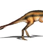 alvarezsaurus_by_shanevalentine_dew6vtx-fullview