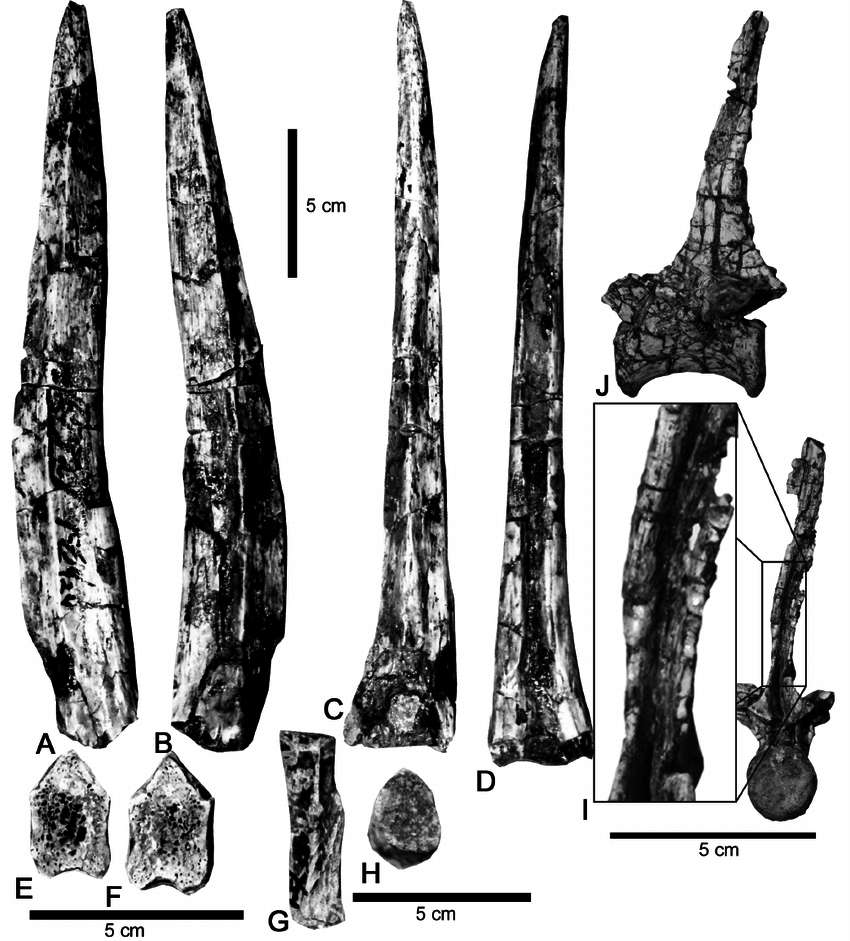 Вимерлий світ | Spinosuchus