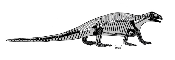 Вимерлий світ | Spinosuchus