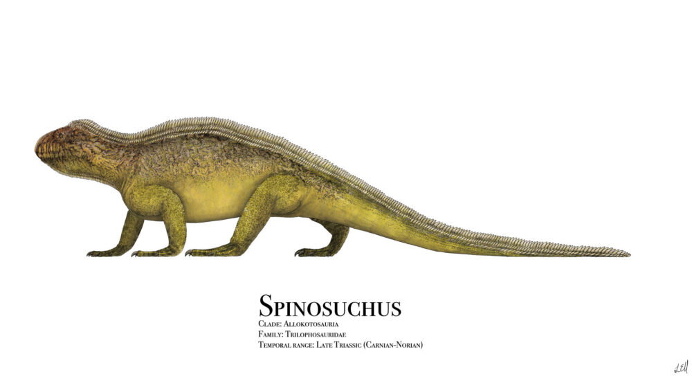 Вимерлий світ | Spinosuchus