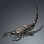 mixopterus_20141213