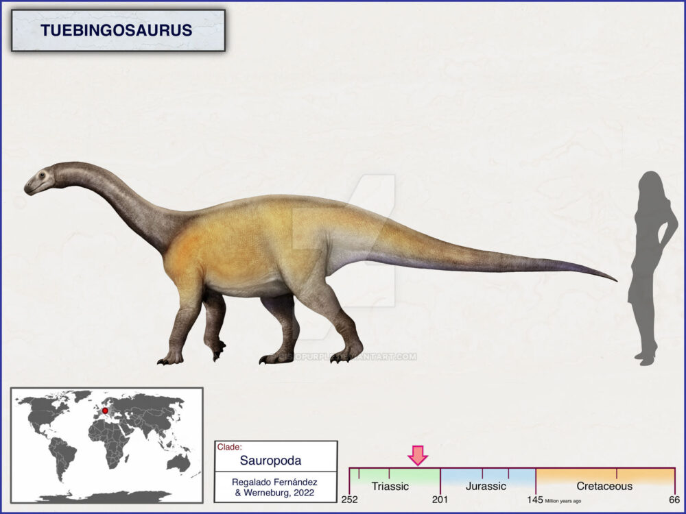 Вимерлий світ | Tuebingosaurus