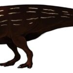 Penelopognathus