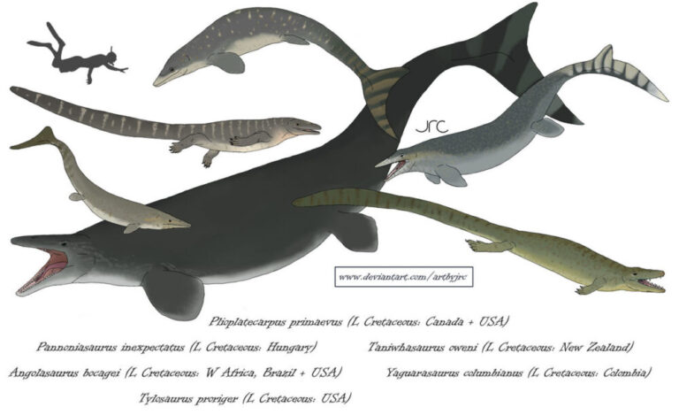 Angolasaurus — рід мозазаврів з крейди 🦤 Вимерлий світ