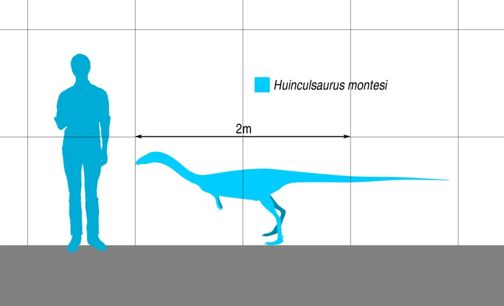 Вимерлий світ | Huinculsaurus