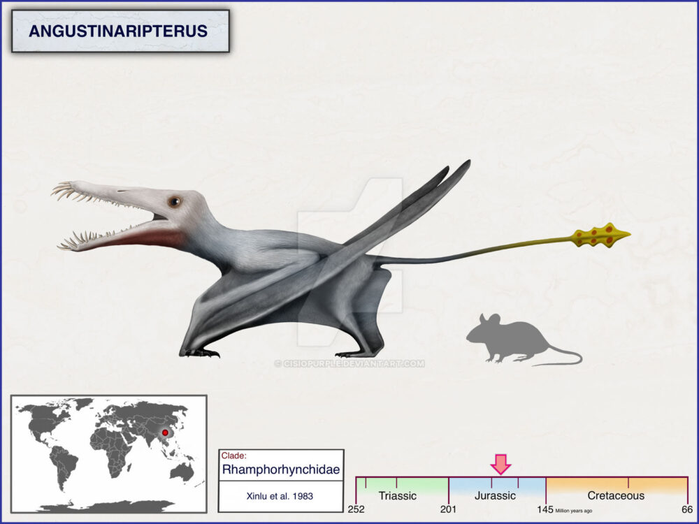 Вимерлий світ | Angustinaripterus