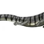 Vallecillosaurus