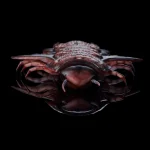 480681772_961101882800371_4059845839259127659_n