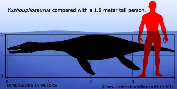 Вимерлий світ | Yuzhoupliosaurus