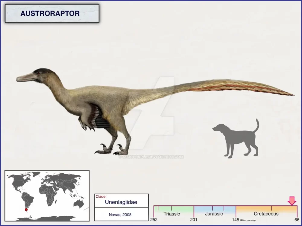 Вимерлий світ | Austroraptor